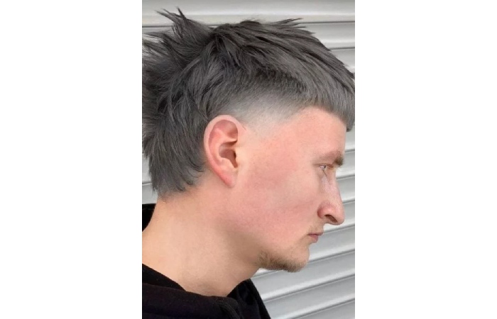 Mullet with Subtle Highlights