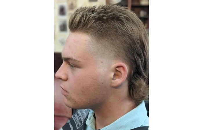 Sleek Mullet